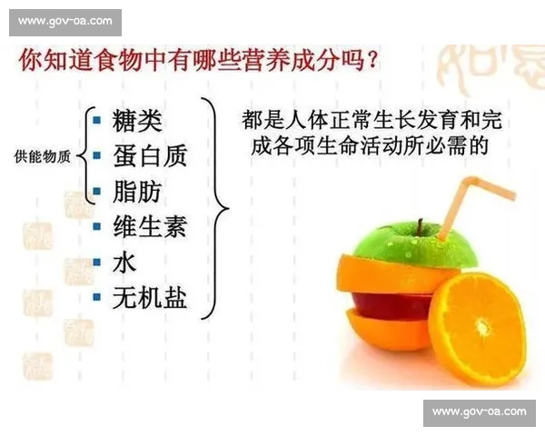 赛后身体恢复与能量补充的科学方法全解析