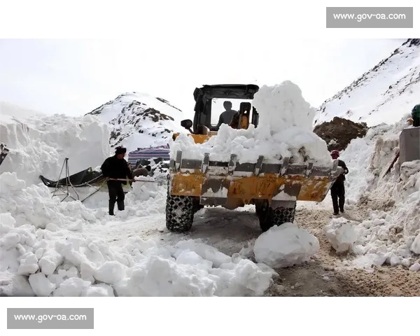 极端天气下滑雪意外频发安全防护亟待加强